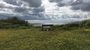 Bench looking out to sea near Carnoustie