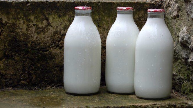 3 milk bottles on a step
